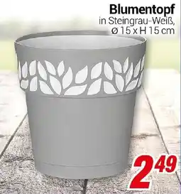 CENTERSHOP Blumentopf Angebot