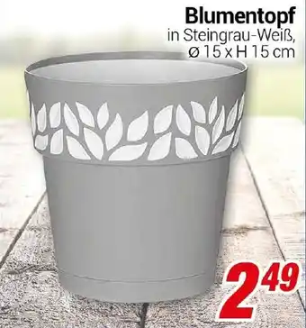 CENTERSHOP Blumentopf Angebot