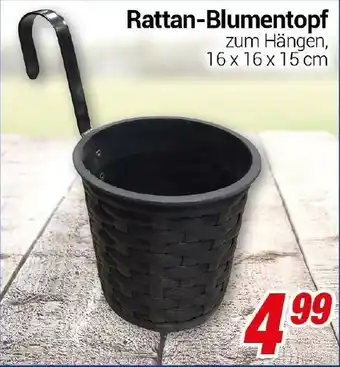 CENTERSHOP Rattan-Blumentopf Angebot