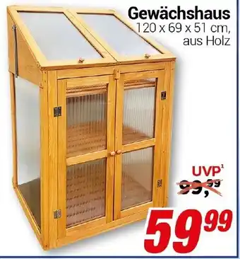 CENTERSHOP Gewächshaus Angebot