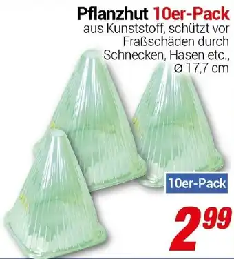 CENTERSHOP Pflanzhut 10er-Pack Angebot