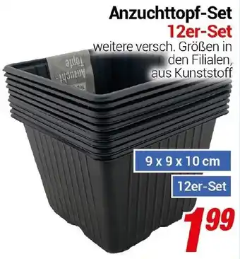 CENTERSHOP Anzuchttopf-Set 12er-Set Angebot