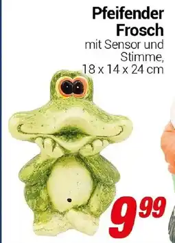 CENTERSHOP Pfeifender Frosch Angebot