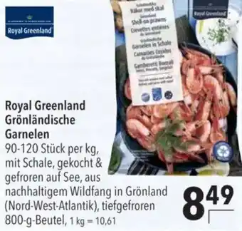 CITTI Markt Royal Greenland Grönländische Garnelen Angebot