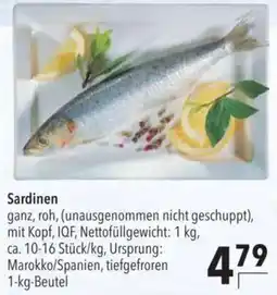 CITTI Markt Sardinen Angebot