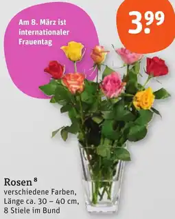 tegut Rosen Angebot