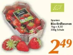 inkoop Spanien Bio-Erdbeeren Angebot