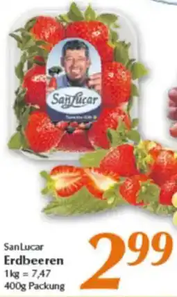 inkoop San Lucar Erdbeeren Angebot