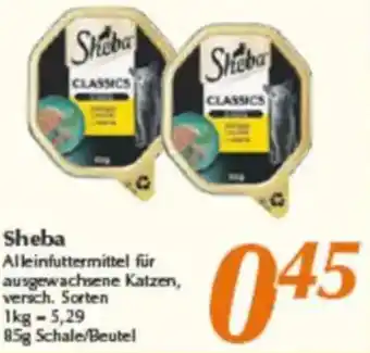 inkoop Sheba Angebot