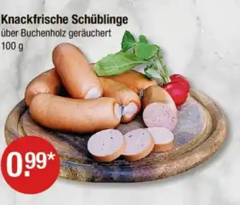 V Markt Knackfrische Schüblinge Angebot