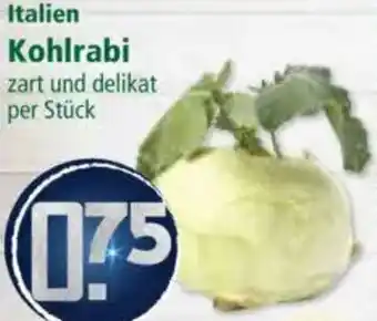 Klaas und Kock Italien Kohlrabi Angebot