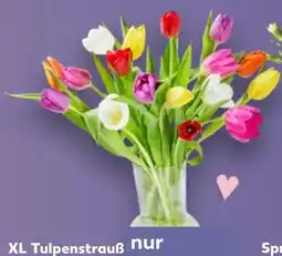 Kaufland Tulpenstrauß XL Angebot