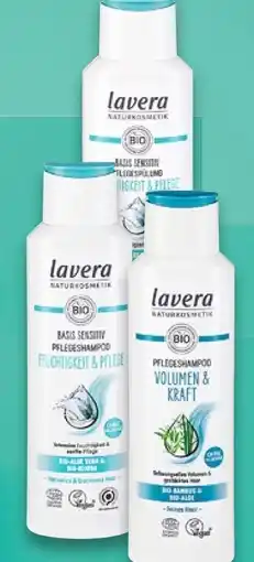 Kaufland Lavera Naturkosmetik Shampoo Angebot