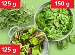 Kaufland Rucola-Salat Angebot