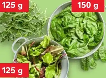 Kaufland Rucola-Salat Angebot