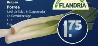 Klaas und Kock Belgien Porree Angebot
