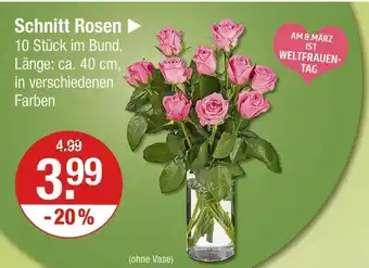 V Markt Schnitt rosen Angebot
