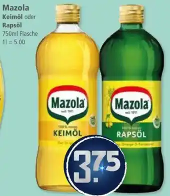 Klaas und Kock Mazola Keimöl oder Rapsöl Angebot