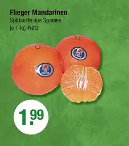 V Markt Der flieger flieger mandarinen Angebot