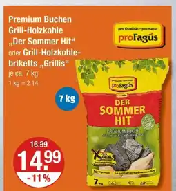 V Markt Profagus der sommer hit Angebot