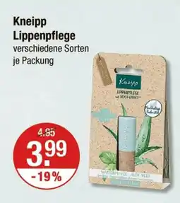 V Markt Kneipp lippenpflege Angebot