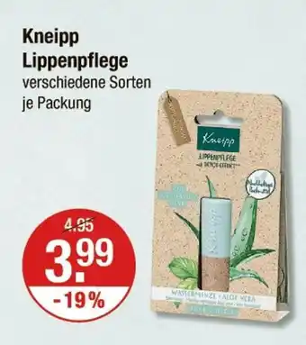 V Markt Kneipp lippenpflege Angebot