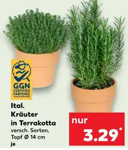 Kaufland Ggn certified farming ital. kräuter in terrakotta Angebot