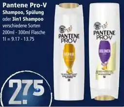 Klaas und Kock Pantene Pro-V Shampoo, Spülung oder 3in1 Shampoo Angebot