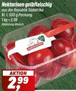 Simmel Nektarinen gelbfleischig Angebot