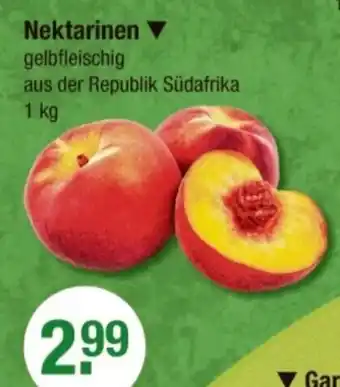 V Markt Nektarinen Angebot