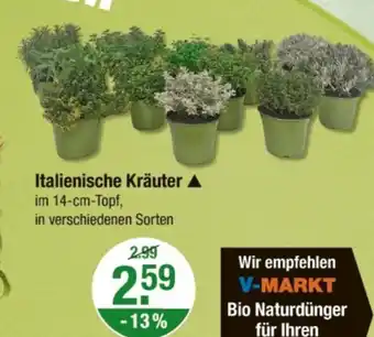 V Markt Italienische Kräuter Angebot