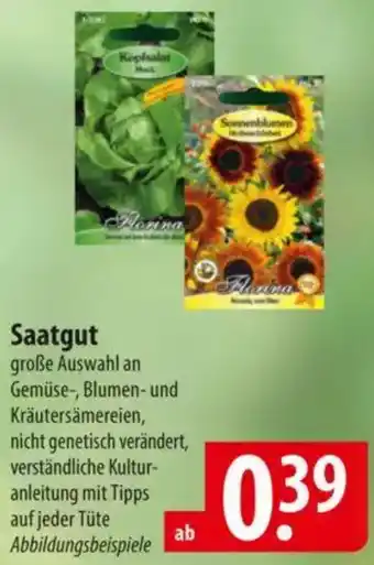 Famila Nord Ost Saatgut Angebot