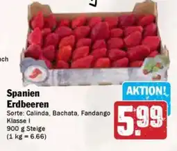 AEZ Spanien Erdbeeren Angebot