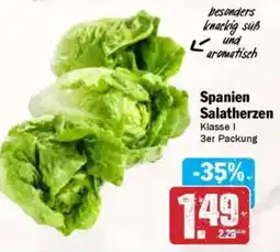 AEZ Spanien Salatherzen Angebot