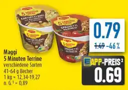 diska Maggi 5 Minuten Terrine Angebot