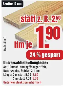 B1 Discount Baumarkt Universaldiele Douglasie Angebot