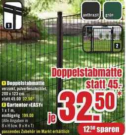 B1 Discount Baumarkt Doppelstabmatte Angebot