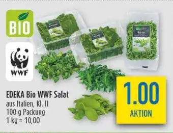 diska EDEKA Bio WWF Salat Angebot