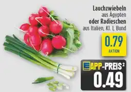 diska Lauchzwiebeln oder Radieschen Angebot