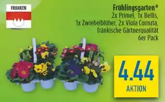 diska Frühlingsgarten Angebot