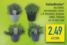 diska Freilandkräuter Angebot