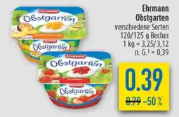 diska Ehrmann Obstgarten Angebot