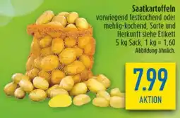 diska Saatkartoffeln Angebot