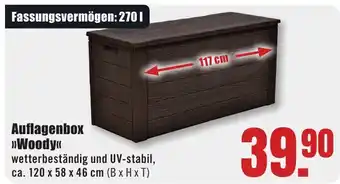 B1 Discount Baumarkt Auflagenbox Woody Angebot