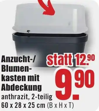 B1 Discount Baumarkt Anzucht-/ Blumen- kasten mit Abdeckung Angebot