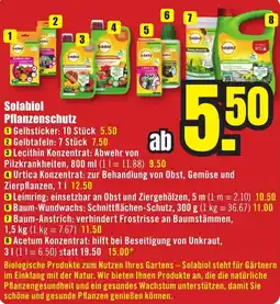 B1 Discount Baumarkt Solabio Pflanzenschutz Gelbsticker Angebot