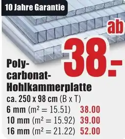 B1 Discount Baumarkt Poly- carbonat- Hohlkammerplatte Angebot