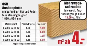 B1 Discount Baumarkt OSB Ausbauplatte Angebot