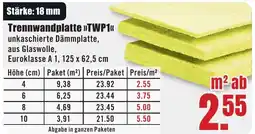 B1 Discount Baumarkt Trennwandplatte TWP1 Angebot