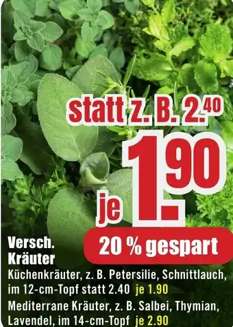 B1 Discount Baumarkt Versch. Kräuter Angebot